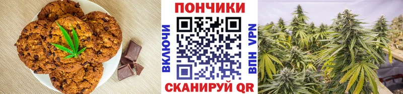 Canna-Cookies конопля Кедровый