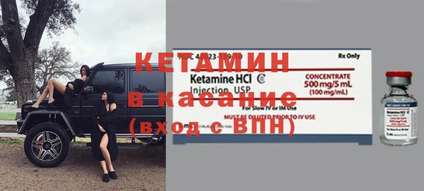 твердый Пересвет