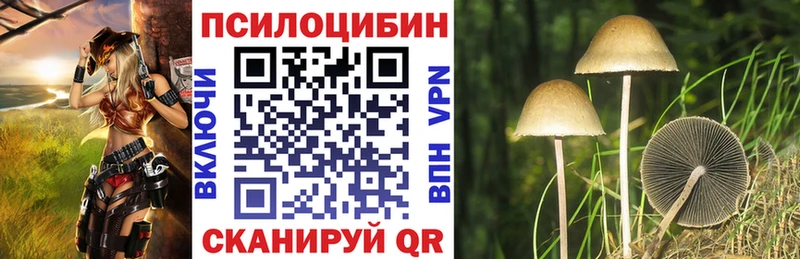 Галлюциногенные грибы прущие грибы  как найти закладки  Кедровый 