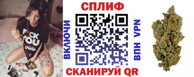 Шишки марихуана планчик Кедровый